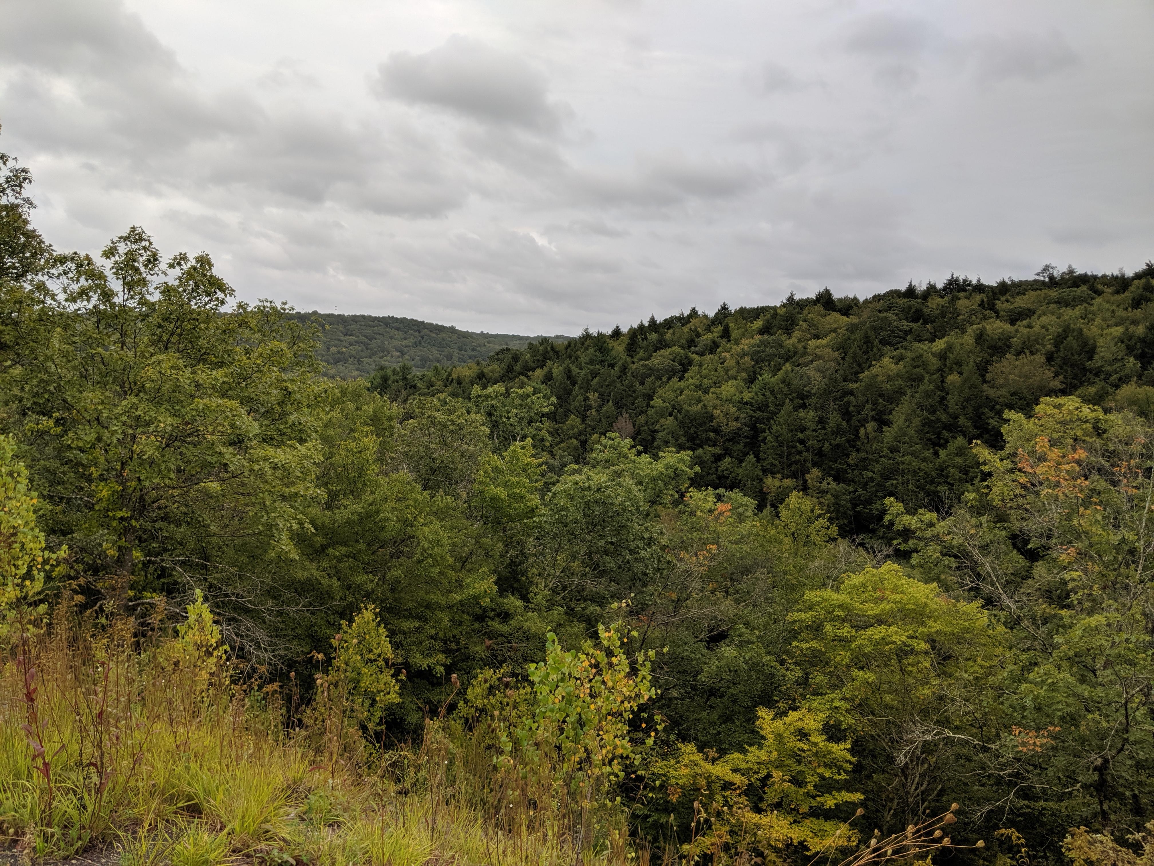 MVIMG_20190914_171439.jpg