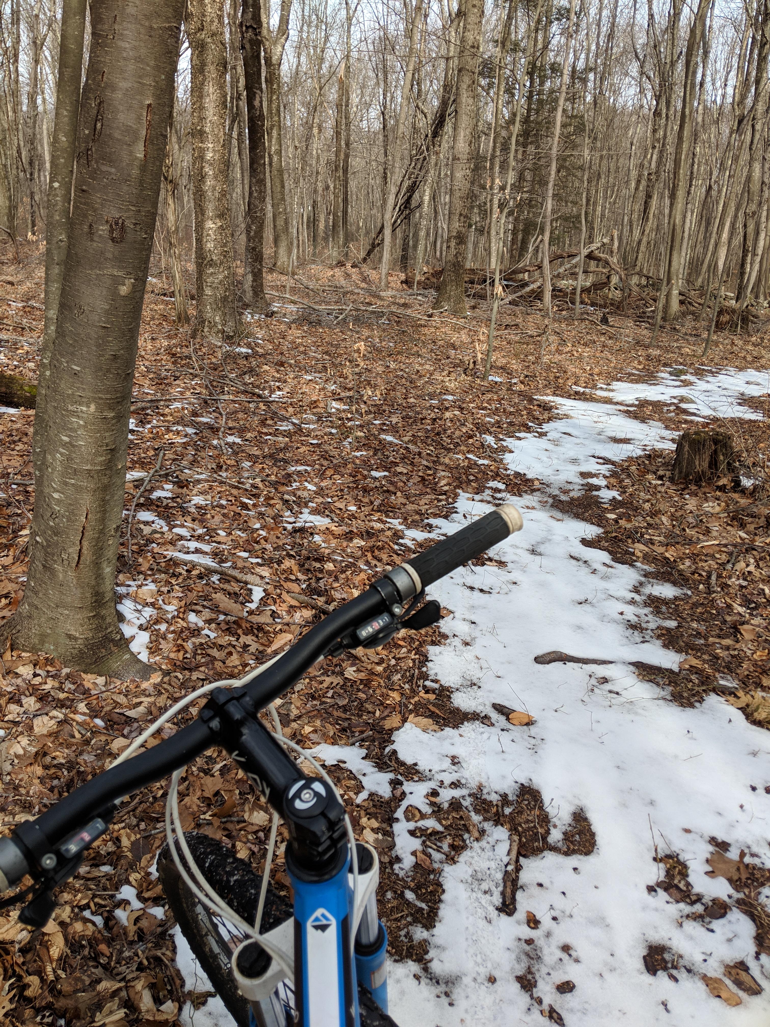 MVIMG_20190223_102149.jpg