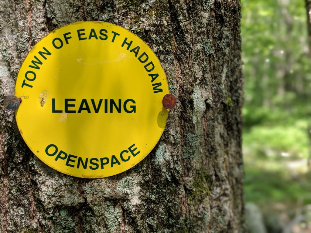 leaving east haddam sign nailed to tree