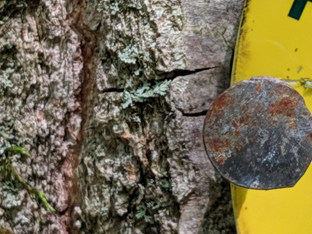 close up of a nail