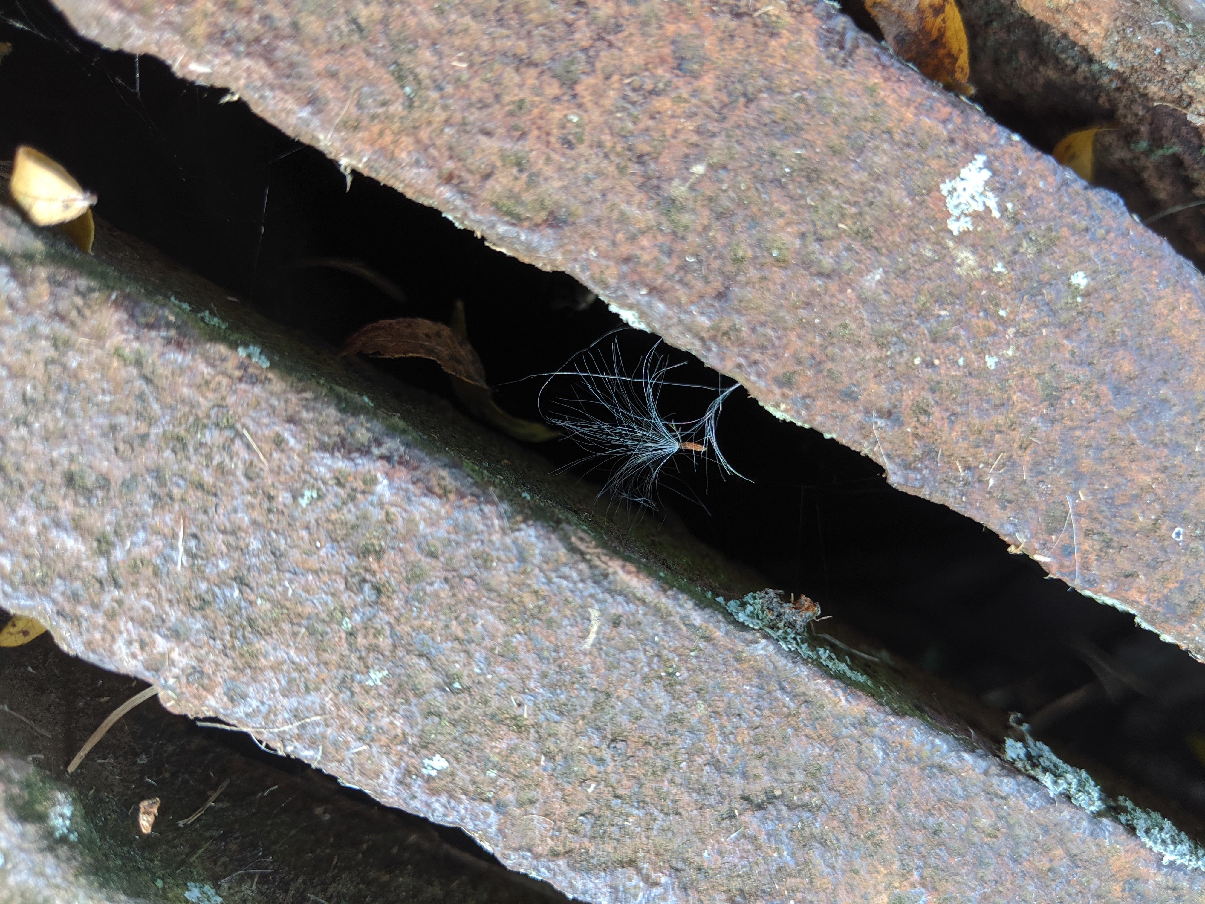 MVIMG_20190923_113357.jpg