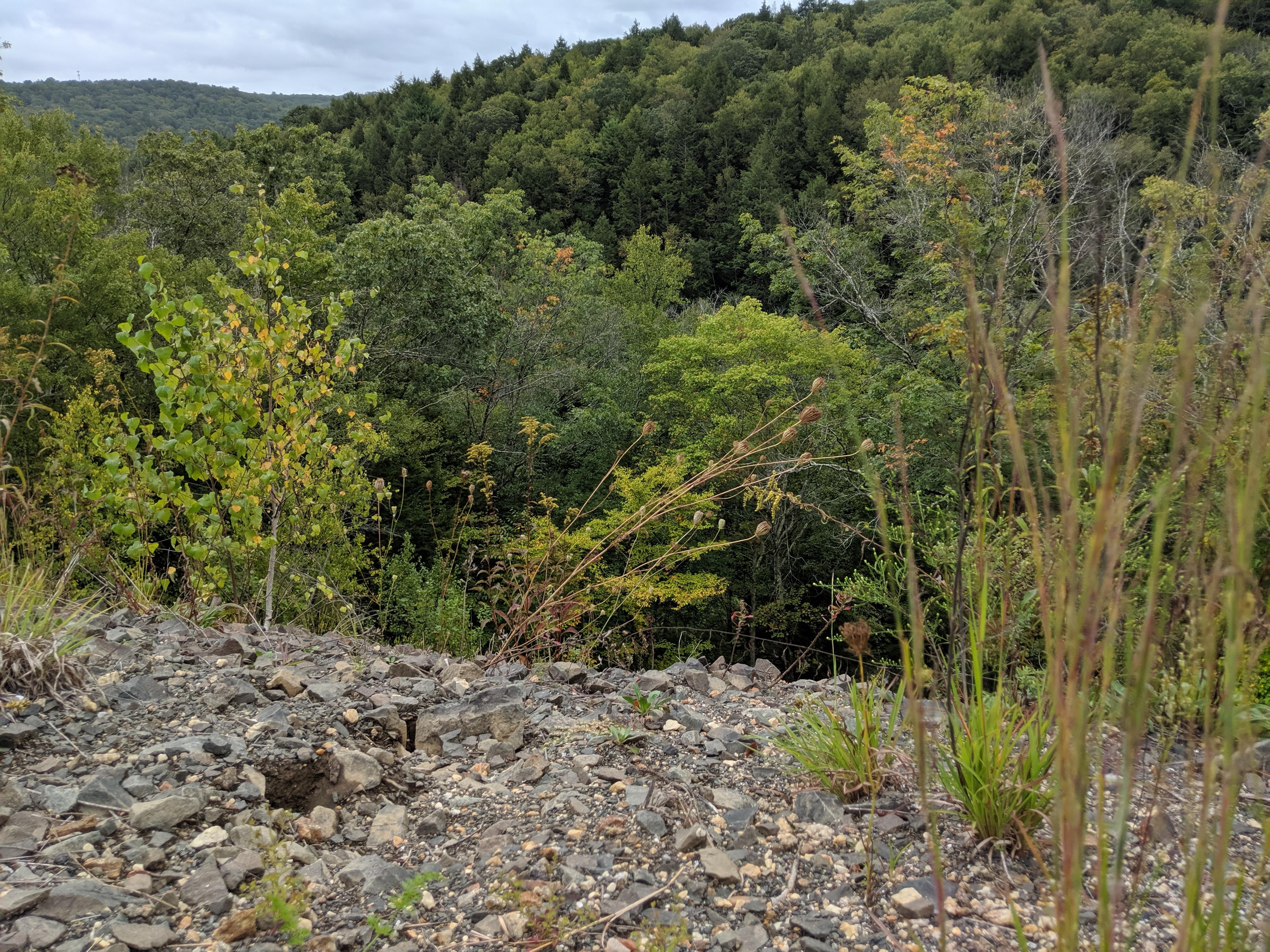 MVIMG_20190914_171453.jpg