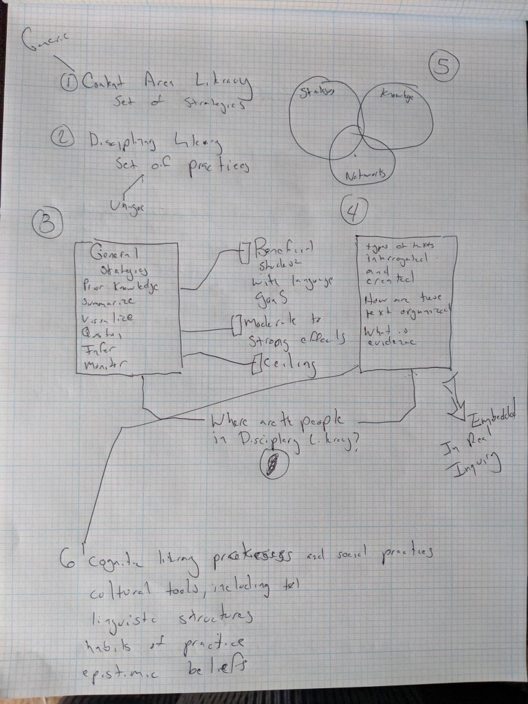 picture of pre-writing on graphic organizer