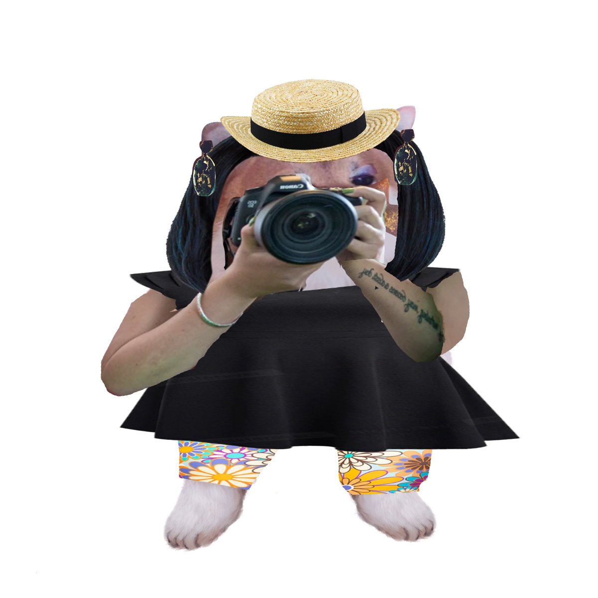 Photo attached to archived tweet