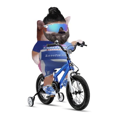 Photo attached to archived tweet