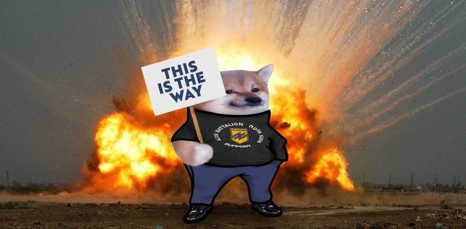 Photo attached to archived tweet