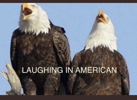 Photo attached to archived tweet