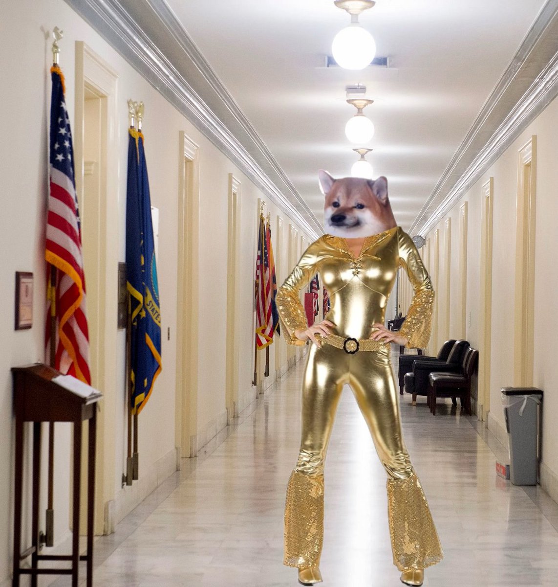 Photo attached to archived tweet