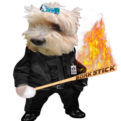 Photo attached to archived tweet