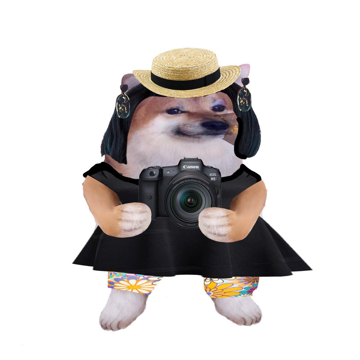 Photo attached to archived tweet