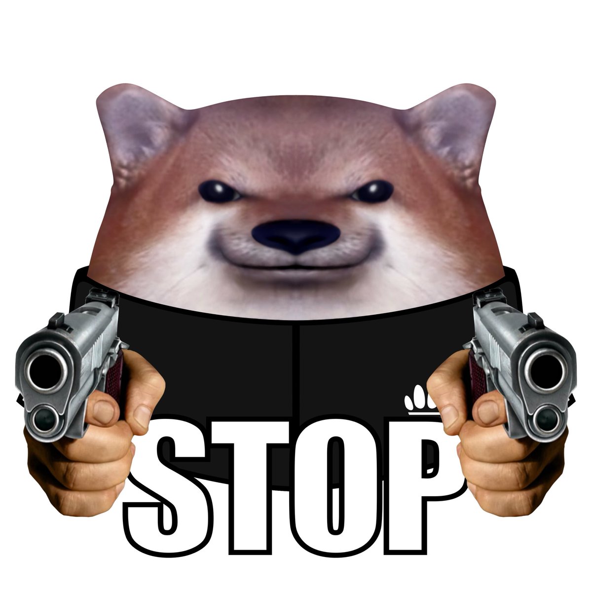 Photo attached to archived tweet