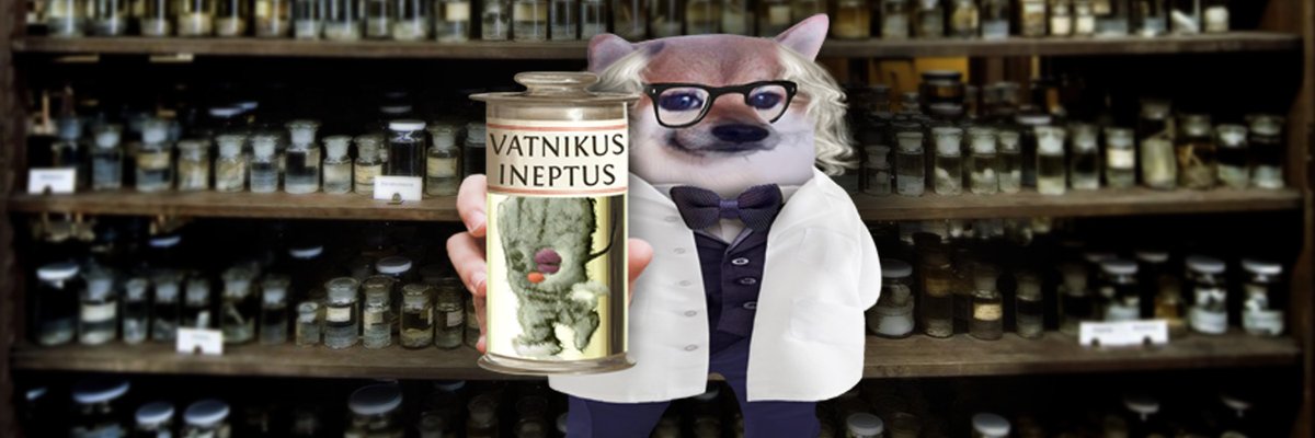 Photo attached to archived tweet