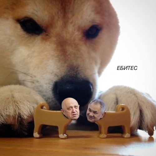 Photo attached to archived tweet