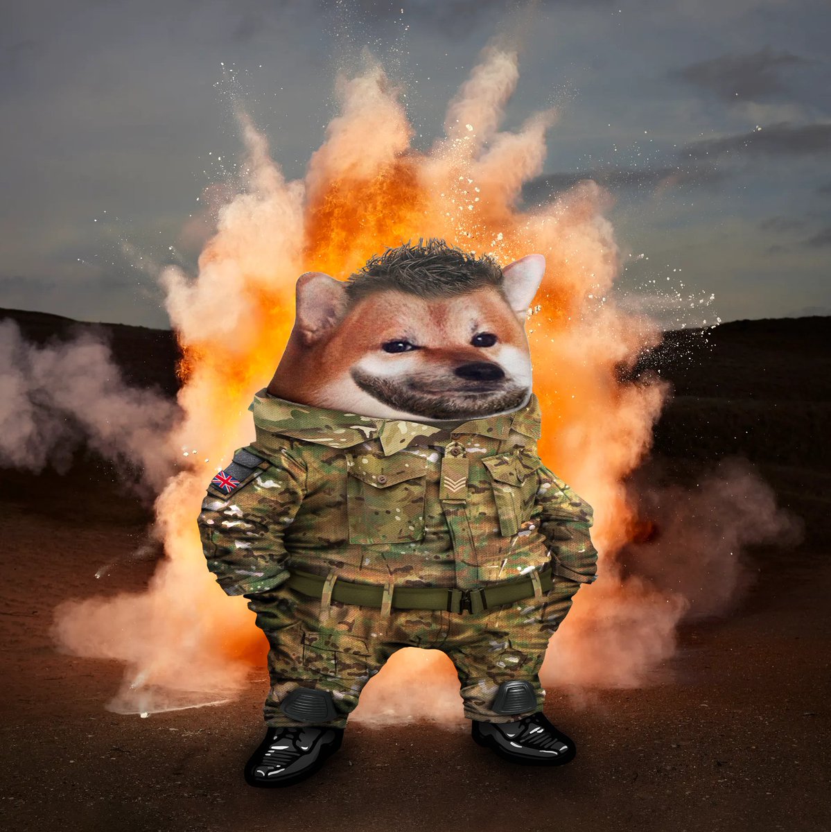 Photo attached to archived tweet
