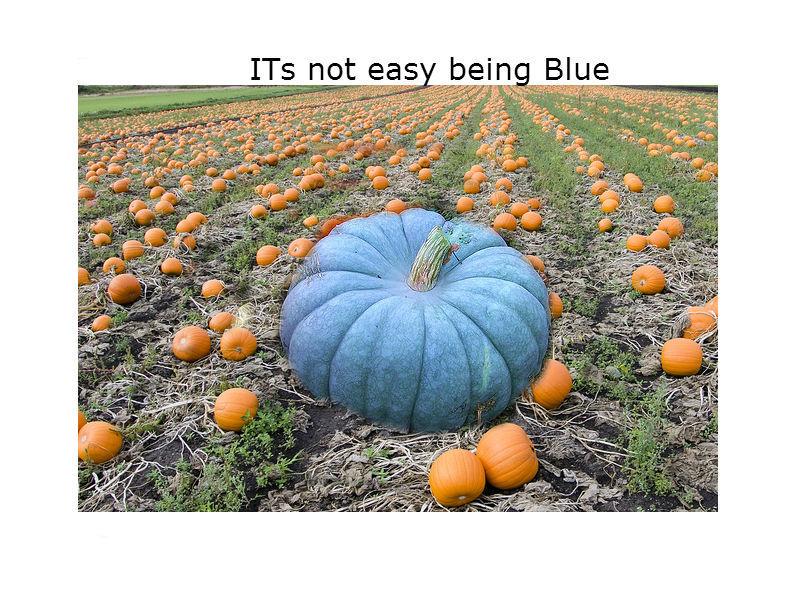 Photo attached to archived tweet