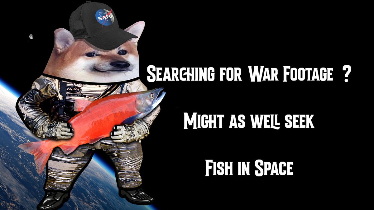 Photo attached to archived tweet