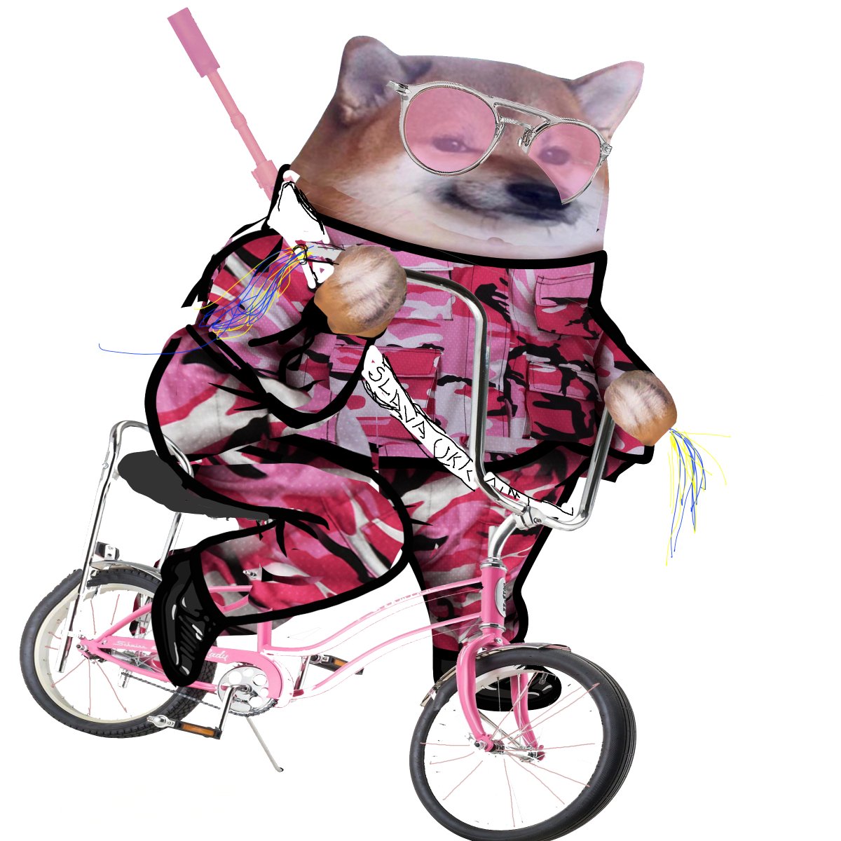 Photo attached to archived tweet
