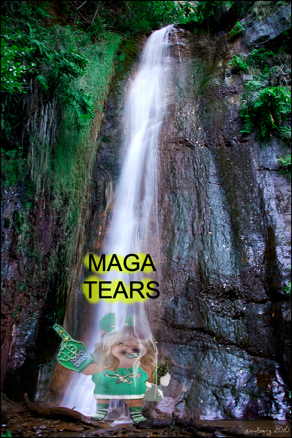 Photo attached to archived tweet