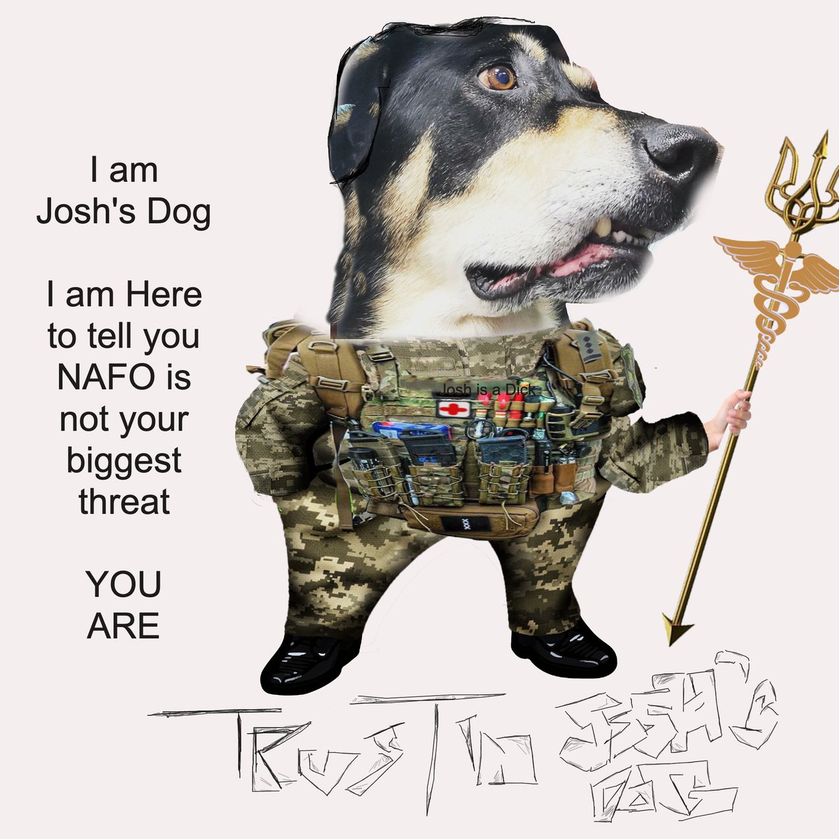 Photo attached to archived tweet