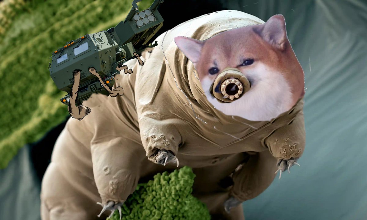 Photo attached to archived tweet