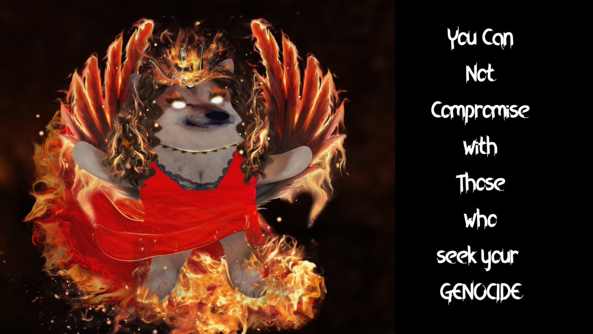 Photo attached to archived tweet