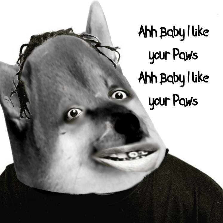 Photo attached to archived tweet