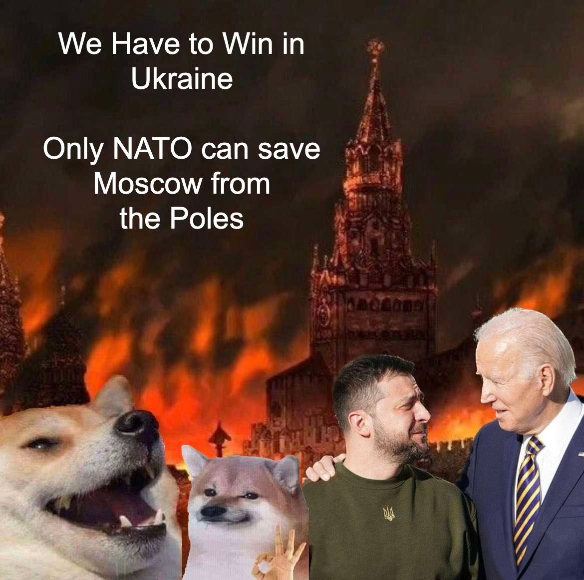 Photo attached to archived tweet