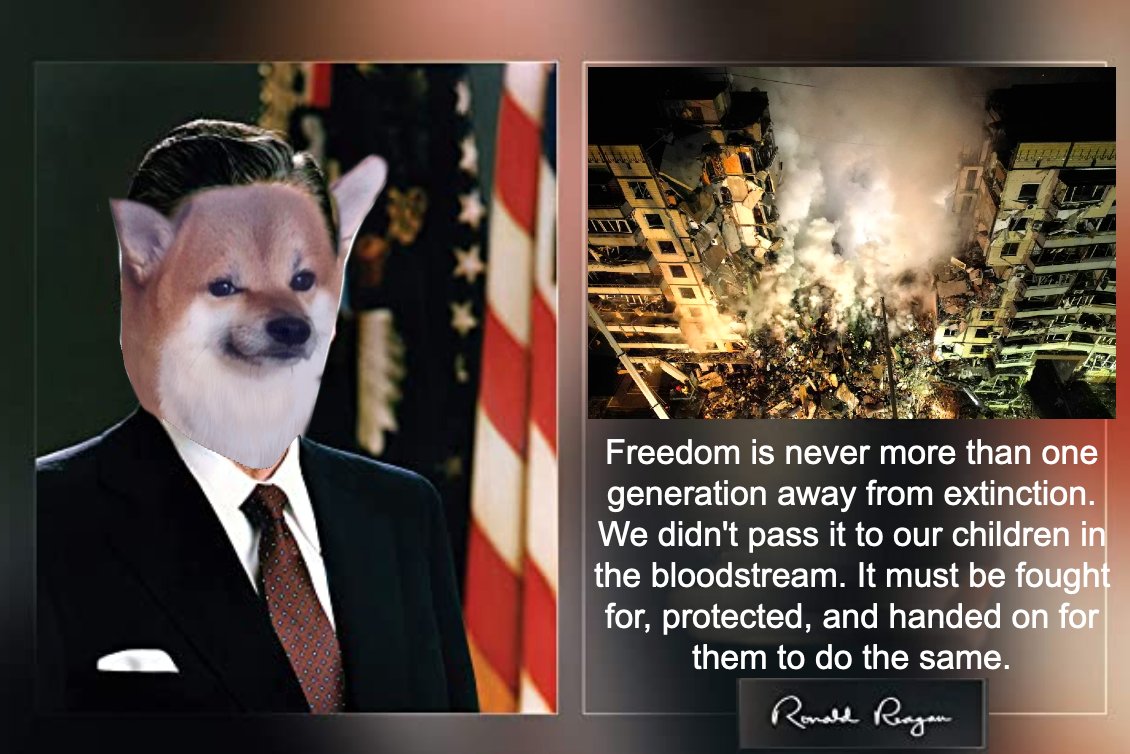 Photo attached to archived tweet