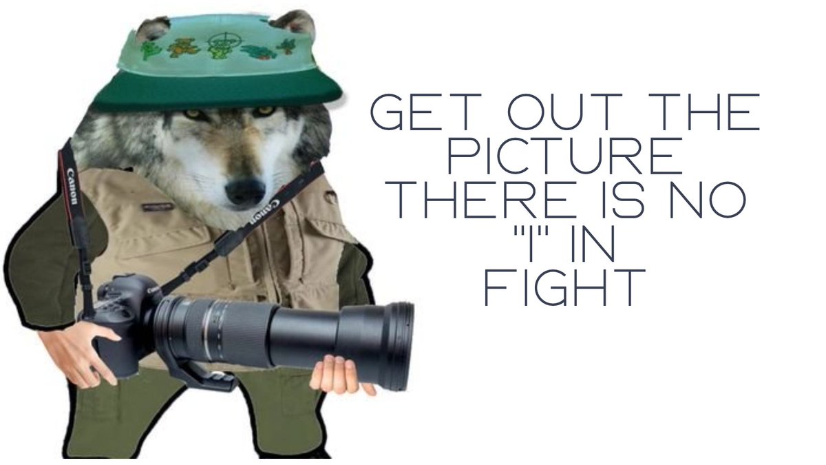 Photo attached to archived tweet