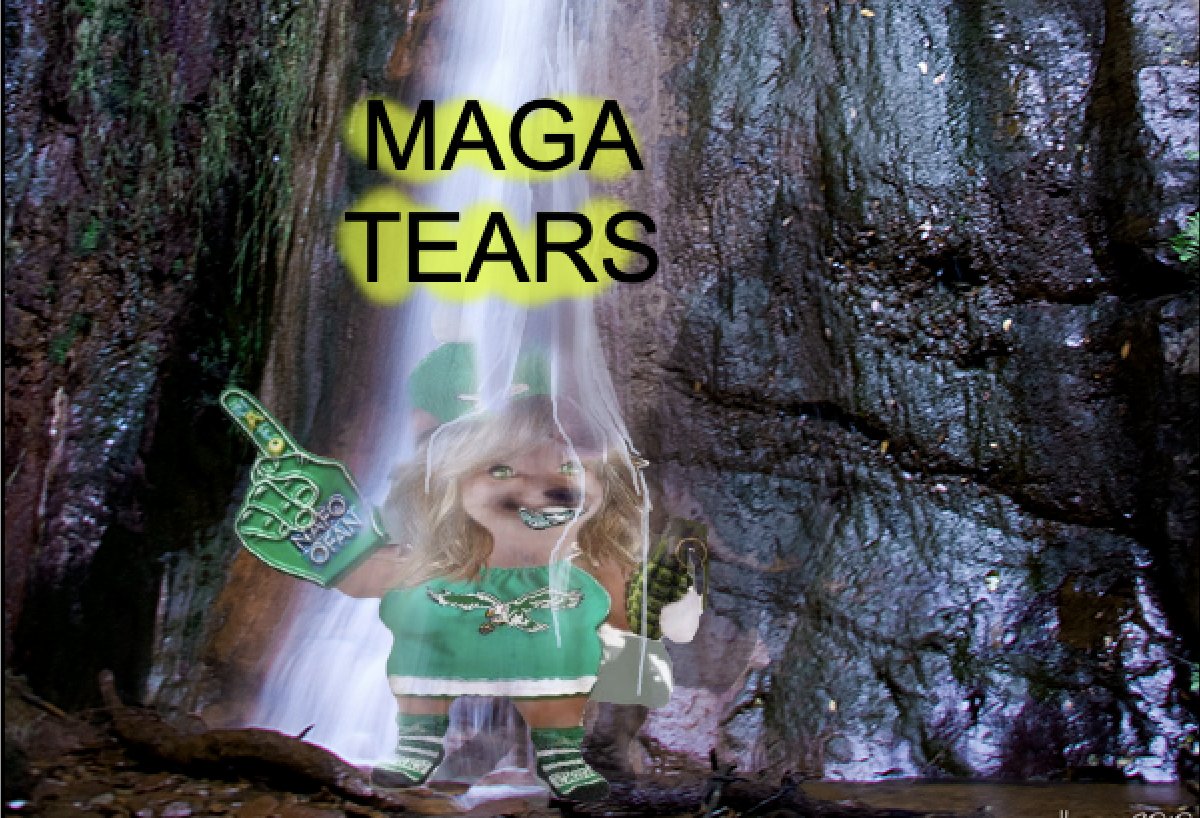 Photo attached to archived tweet