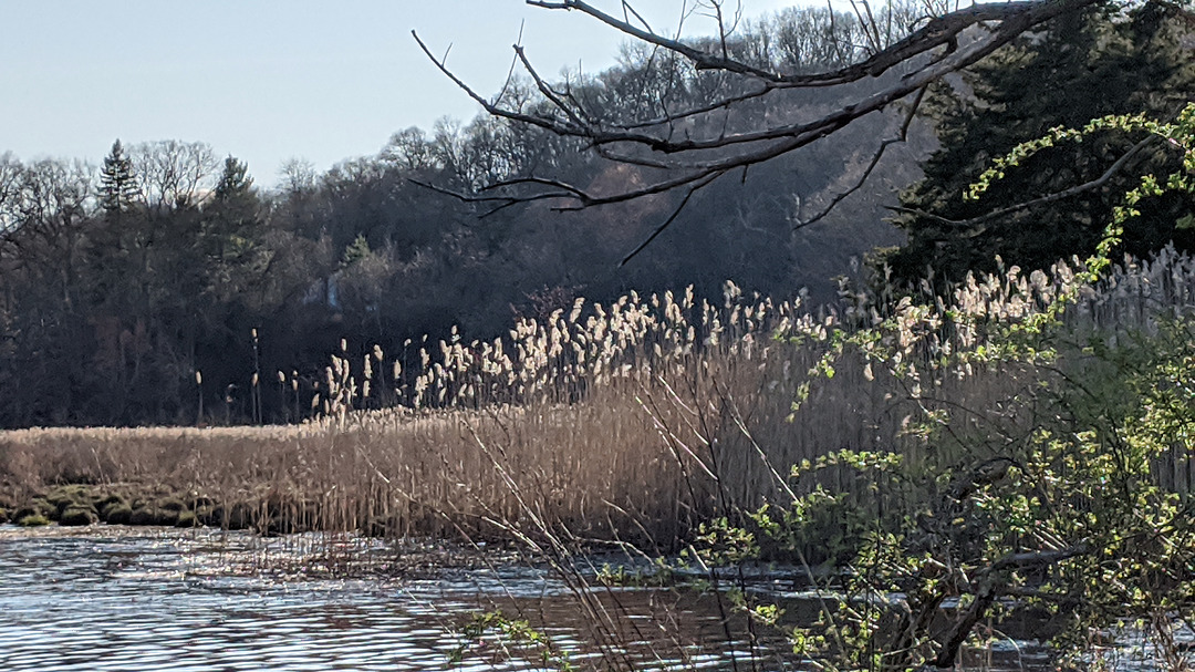 landscape shot of river